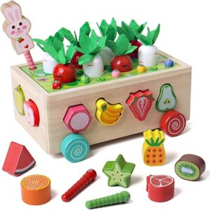 SHIERDU Montessori Toys